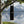 AQUA VAULT PureX Black Water Bottle with carrying case hanging from a tree by a lake with mountains in the background